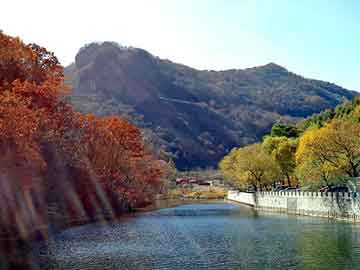 天天彩好彩天天免费，阿坝物流